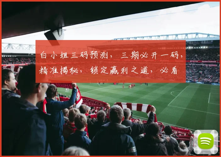 白小姐三码预测，三期必开一码，精准揭秘，锁定赢利之道，必看