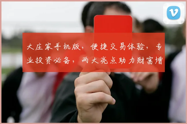 大庄家手机版，便捷交易体验，专业投资必备，两大亮点助力财富增长