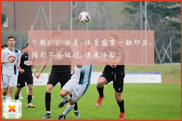 下载gogo体育,体育盛宴一触即发,精彩不容错过,速来体验